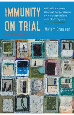 Immunity on Trial: Ethiopian Courts, Chinese Corporations, and Contestations Over Sovereignty - Miriam Driessen