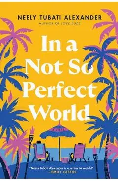 In a Not So Perfect World - Neely Tubati-alexander
