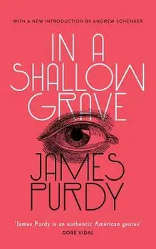 In a Shallow Grave (Valancourt 20th Century Classics), Paperback/James Purdy