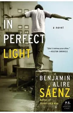 In Perfect Light - Benjamin Alire Saenz