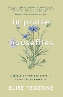In Praise of Houseflies: Meditations on the Gifts in Everyday Quandaries - Elise Tegegne
