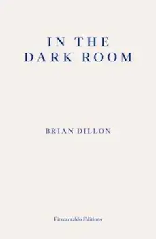 In The Dark Room, Paperback/Brian Dillon