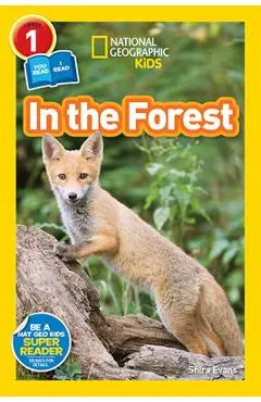 In the Forest - Shira Evans