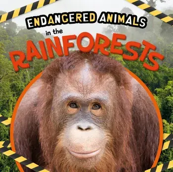 In the Rainforests, Hardback/Emilie Dufresne