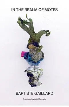 In the Realm of Motes - Baptiste Gaillard
