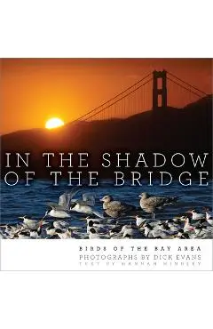 In the Shadow of the Bridge: Birds of the Bay Area - Dick Evans