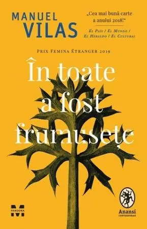 În toate a fost frumusețe - Manuel Vilas