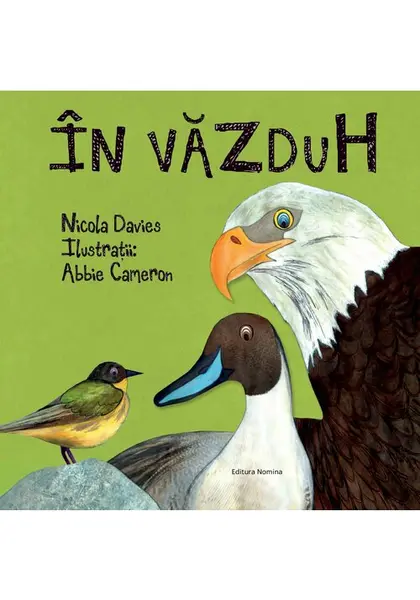 In vazduh