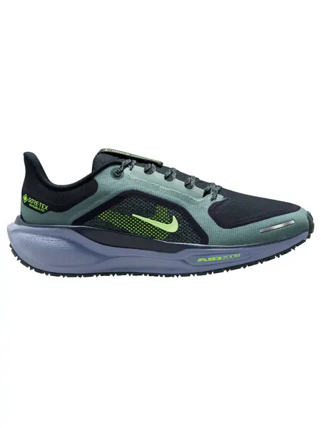 Incaltaminte Air Zm Pegasus 41 Gtx