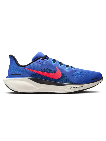 Incaltaminte Air Zoom Pegasus 41