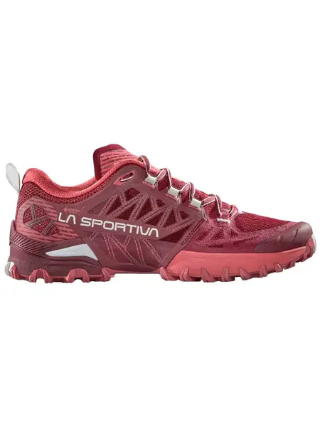 Incaltaminte Bushido Iii Woman Gtx