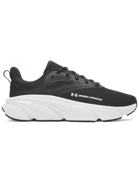 Incaltaminte Ua W Rogue 6
