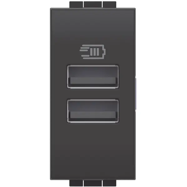 Incarcator usb 1 modul 2 usb tip A+A Bticino Living Light L4191AA, antracit