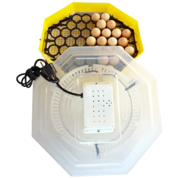 Incubator - Clocitoare Pui CLEO 5D cu Dispozitiv de Intoarcere