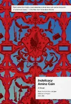 Indelicacy, Paperback/Amina Cain