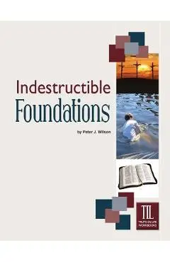 Indestructible Foundations - Peter Wilson