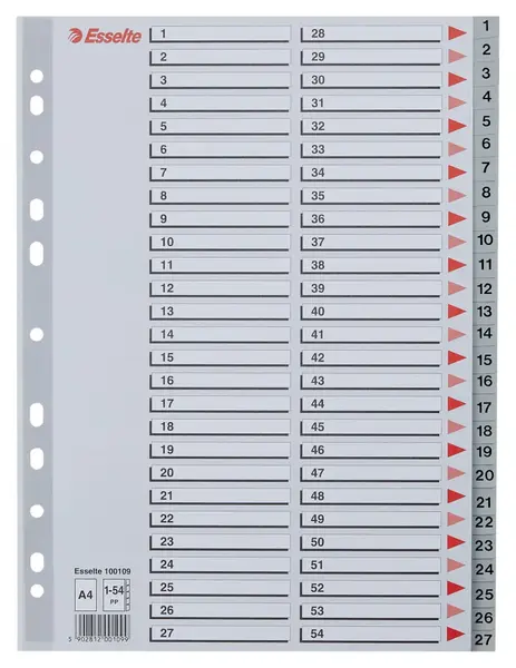 Index Esselte, plastic, reciclabil, A4, 1-54, gri Index Esselte, plastic, reciclabil, A4, 1-54, gri