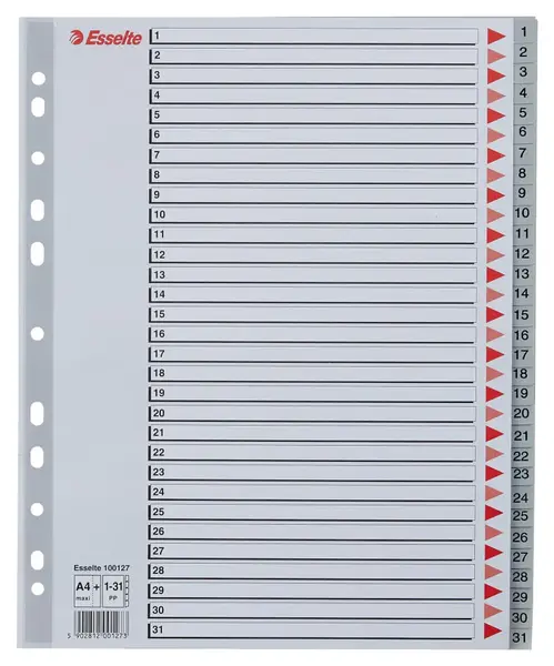 Index Esselte, plastic, reciclabil, A4 MAXI, 1-31, gri Index Esselte, plastic, reciclabil, A4 MAXI, 1-31, gri