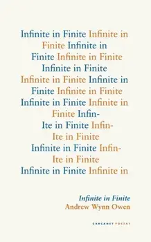 Infinite in Finite, Paperback/Andrew Wynn Owen
