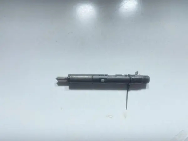 Injector 166000897R Renault Kangoo 2 (2007-2013) 1.5 dci K9K (834)