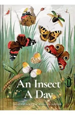 Insect A Day - Dominic|ashton Couzens