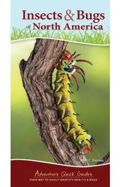Insects & Bugs of North America: Your Way to Easily Identify Insects & Bugs - Jaret C. Daniels