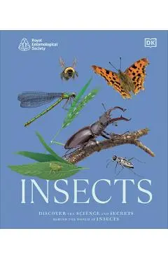 Insects: Discover the Science and Secrets Behind the World of Insects - Dk