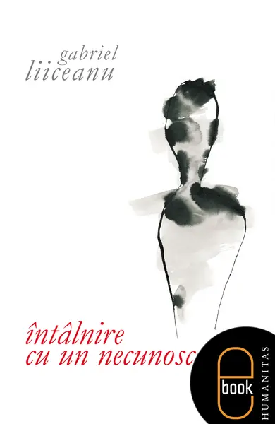 Întâlnire cu un necunoscut (epub)