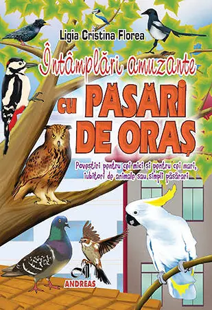 Intamplari amuzante cu pasari de oras | Ligia Cristina Florea