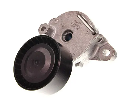 Intinzator curea, curea distributie Schaeffler INA 534 0795 10