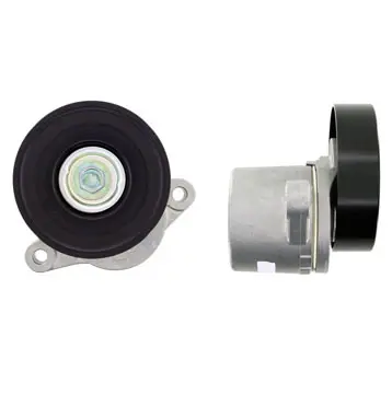 Intinzator curea, curea distributie SKF VKM 66005