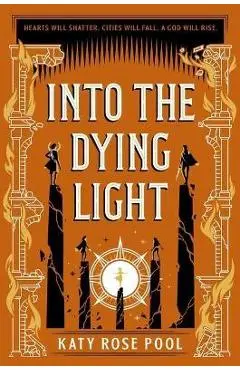 Into the Dying Light - Katy Rose Pool