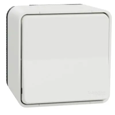 Intrerupator cap scara Mureva Schneider MUR39021, 250V, IP55, PT alb