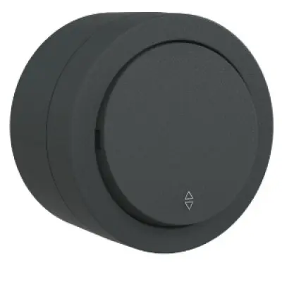 Intrerupator Cap Scara PT xOne Ovivo OV00946, 10A, 250V, IP20, antracit