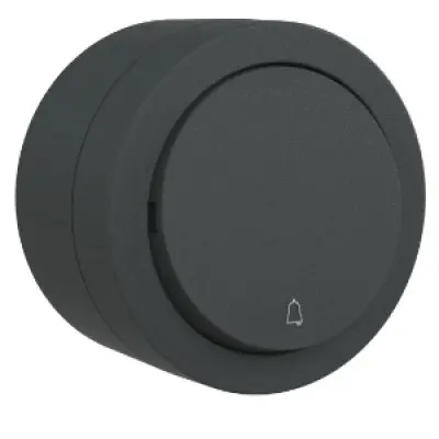 Intrerupator Sonerie PT xOne Ovivo OV00945, 10A, 250V, IP20, antracit
