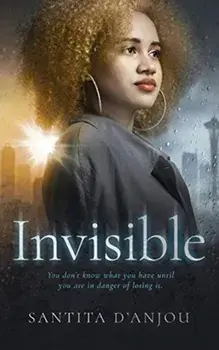 Invisible, Paperback/Santita J. D'Anjou