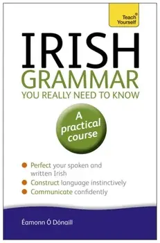 Irish Grammar You Really Need to Know: Teach Yourself, Paperback/Eamonn O Donaill