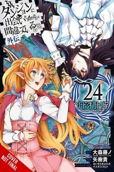 Is It Wrong to Try to Pick Up Girls in a Dungeon? On the Side: Sword Oratoria, Vol. 24 (manga), Paperback/Takashi Yagi