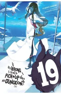 Is It Wrong to Try to Pick Up Girls in a Dungeon?, Vol. 19 (Light Novel) - Fujino Omori