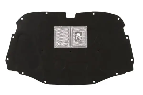 Izolarea motor potrivit VW TOUAREG 10.02-05.10