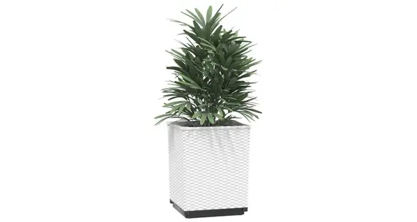 Jardiniere, 2 buc., alb, 30x30x37 cm, polipropilena