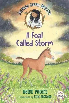 Jasmine Green Rescues: A Foal Called Storm, Paperback/Helen Peters