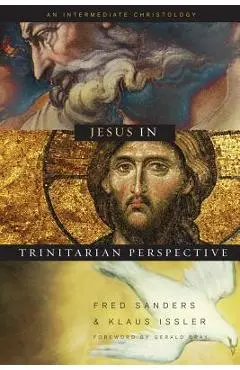 Jesus in Trinitarian Perspective: An Introductory Christology - Fred Sanders