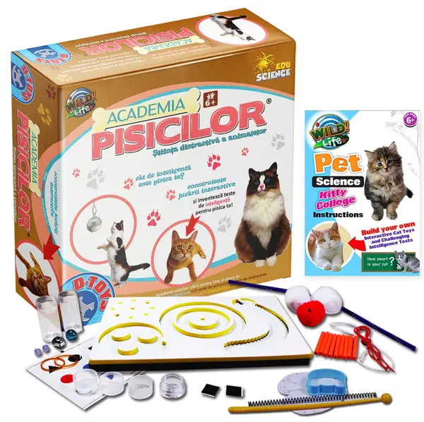 Joc educativ - Academia Pisicilor | D-Toys