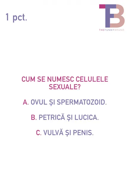 Joc educativ - Copiii si corpul uman | The Funny Brand