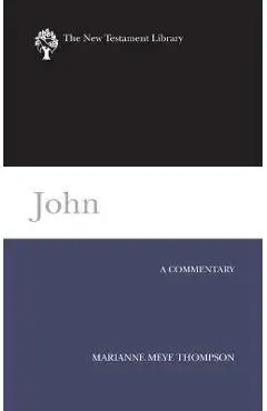 John (NTL) - Marianne Meye Thompson