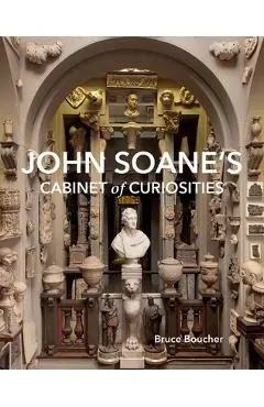 John Soane's Cabinet of Curiosities: Reflections on an Architect and His Collection - Bruce Boucher