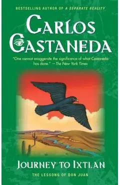 Journey to Ixtlan - Carlos Castaneda