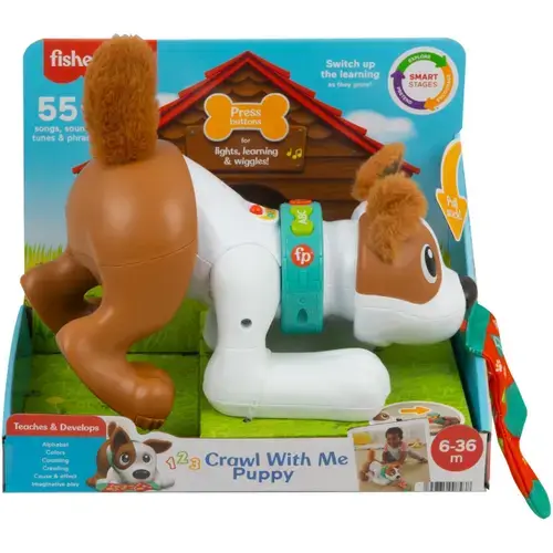 Jucarie bebelusi Fisher Price - Catelus Crawl With Me