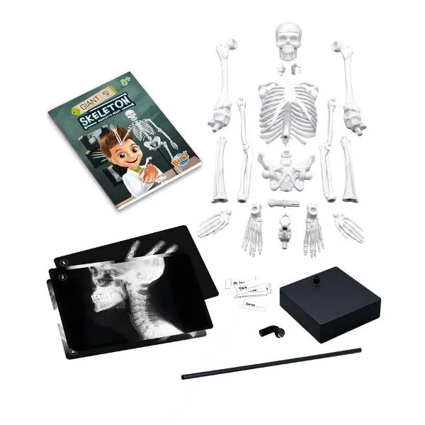 Jucarie educativa Buki Schelet Gigant 45 cm
